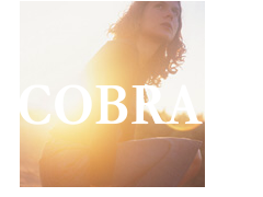 cobra_test